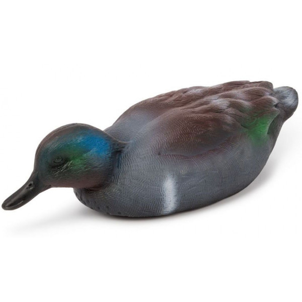 Чучело селезень "Чирок"