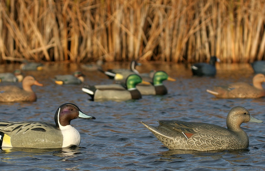 Чучело КРЯКВА утка  мягкое